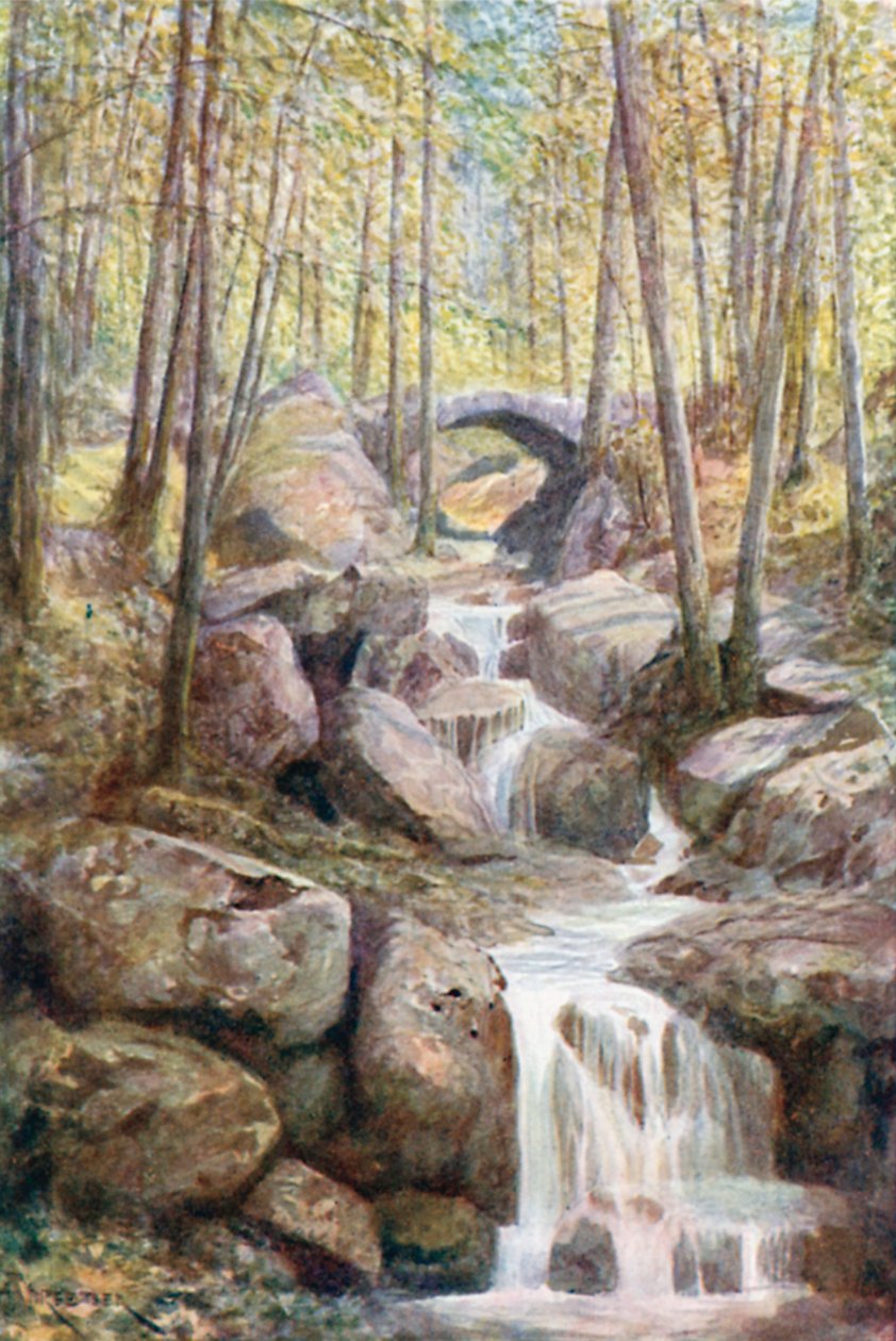 Pont du Prophète, Promenade Meyerbeer, Spa-Wälder von Amedee (after) Forestier