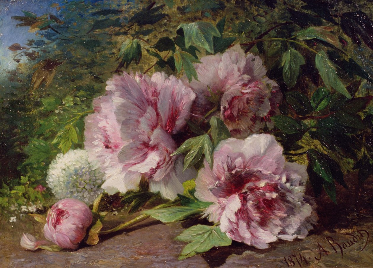 Studie von Pfingstrosen, 1874 von Amedee Baudit