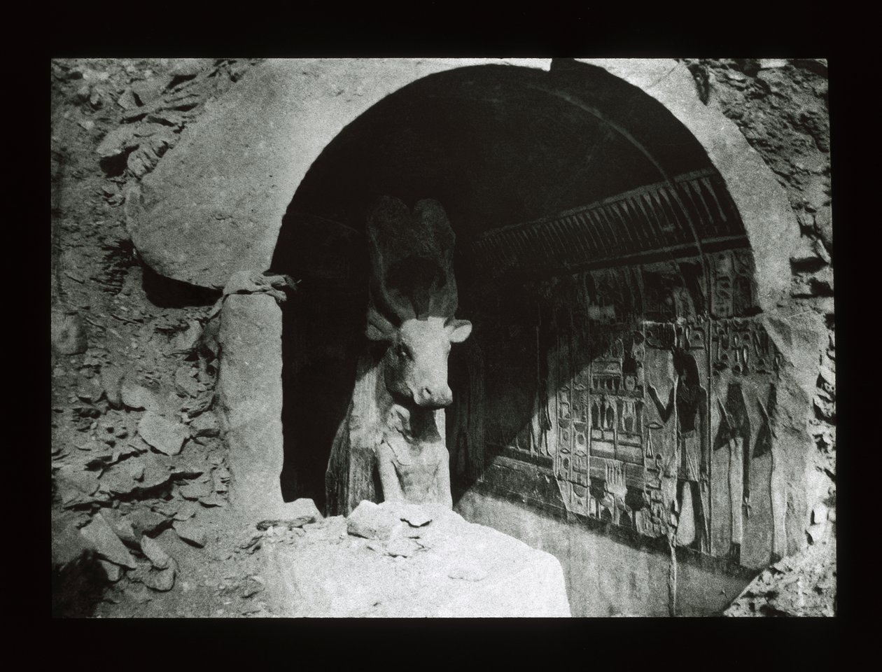 Hathor-Kuh in einem Schrein der 18. Dynastie, Deir El-Bahri von American Photographer
