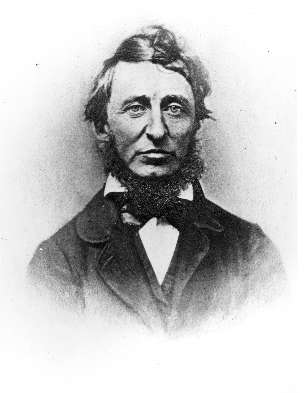 Henry Thoreau (1817-62) von American Photographer