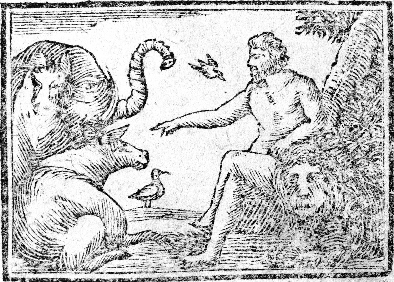 Adam benennt die Tiere, Illustration aus An Abridgement of the History of the Holy Bible, veröffentlicht 1794 von American School