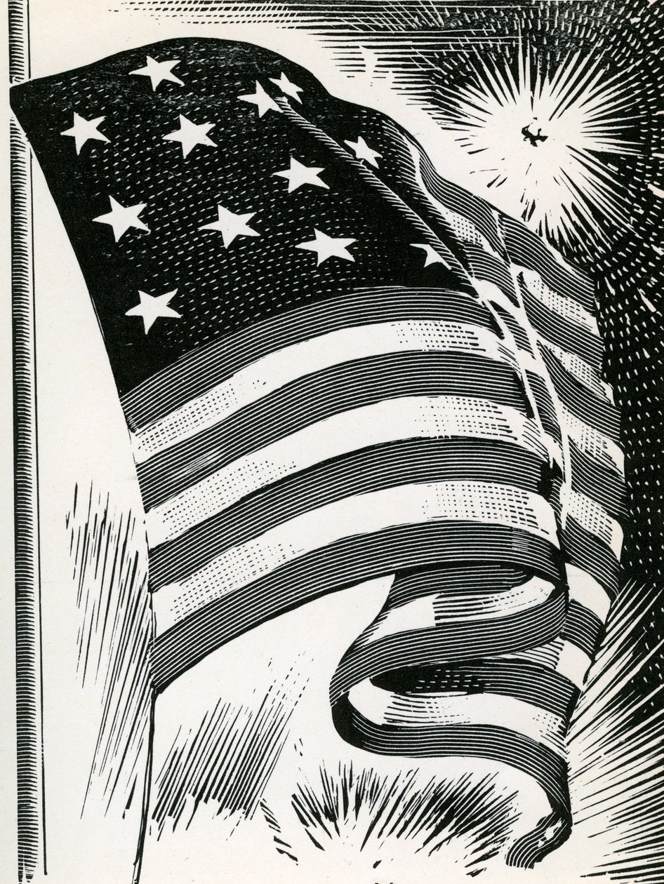 Amerikanische Flagge weht über Fort McHenry von American School