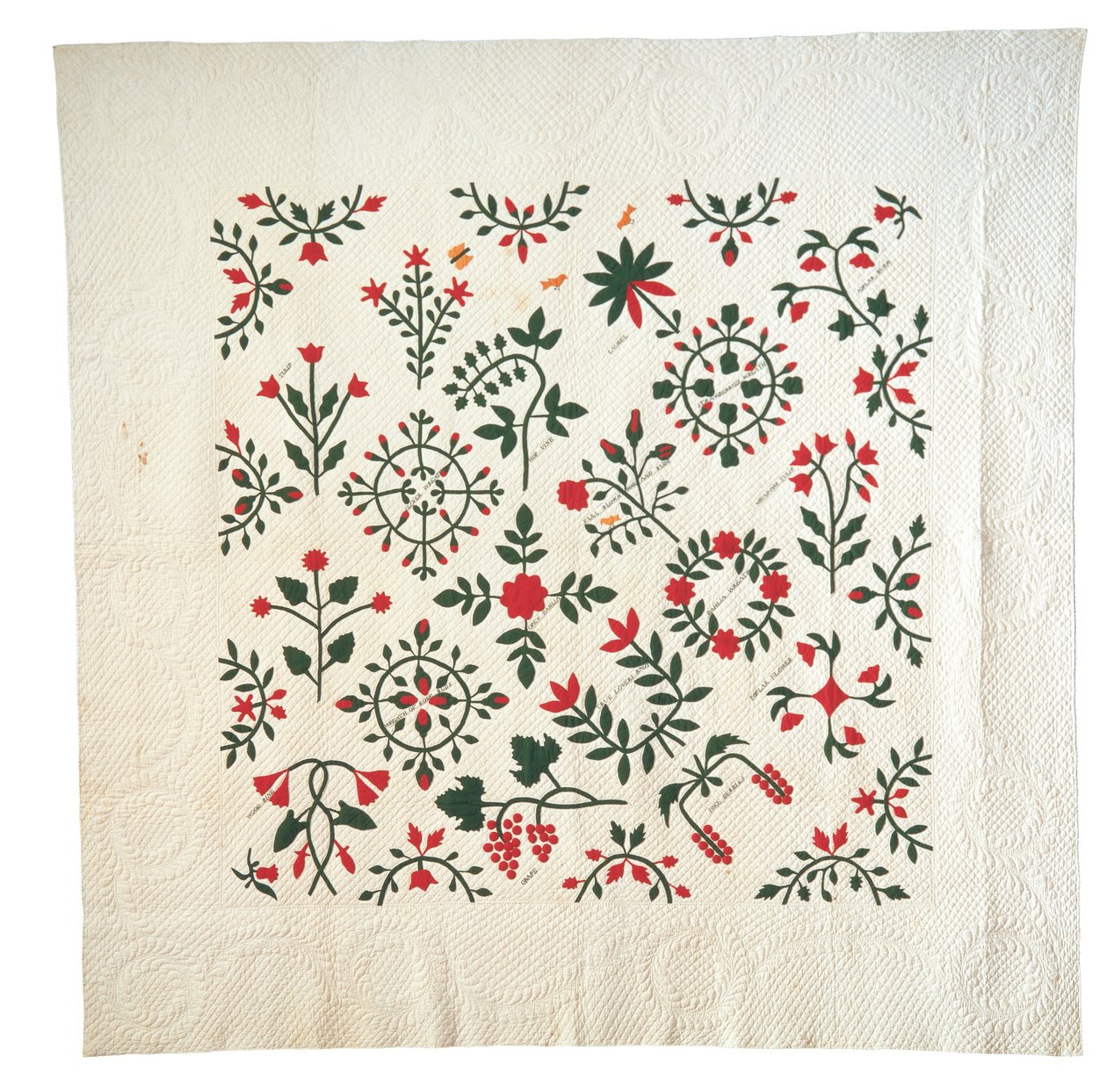 Applikation und bestickter Garten-Botanikalbum-Quilt von American School
