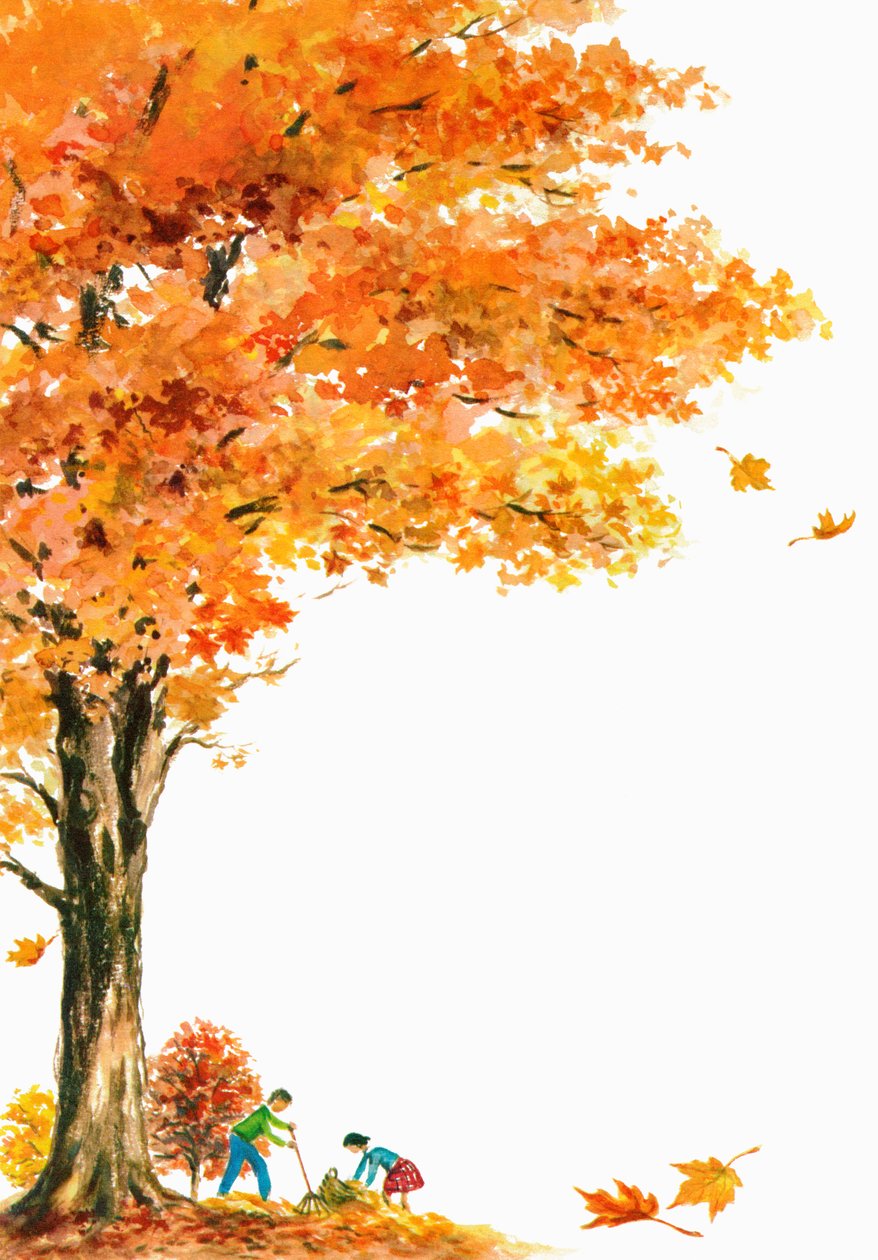 Kinder harken Herbstblätter unter einem großen Ahornbaum von American School