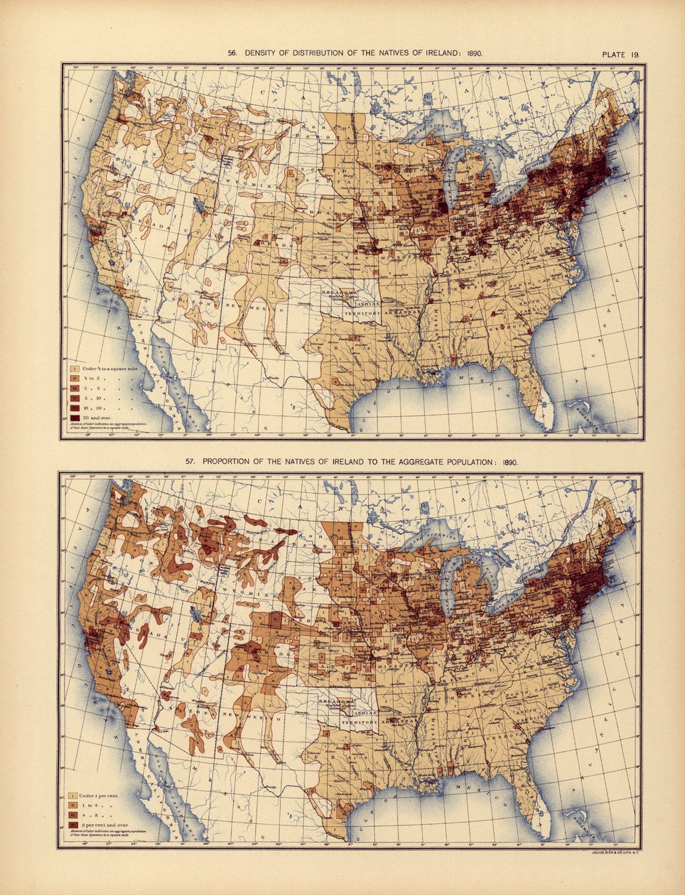 Dichteverteilung der Ureinwohner Irlands und ihr Anteil an der Gesamtbevölkerung, 1898 von American School