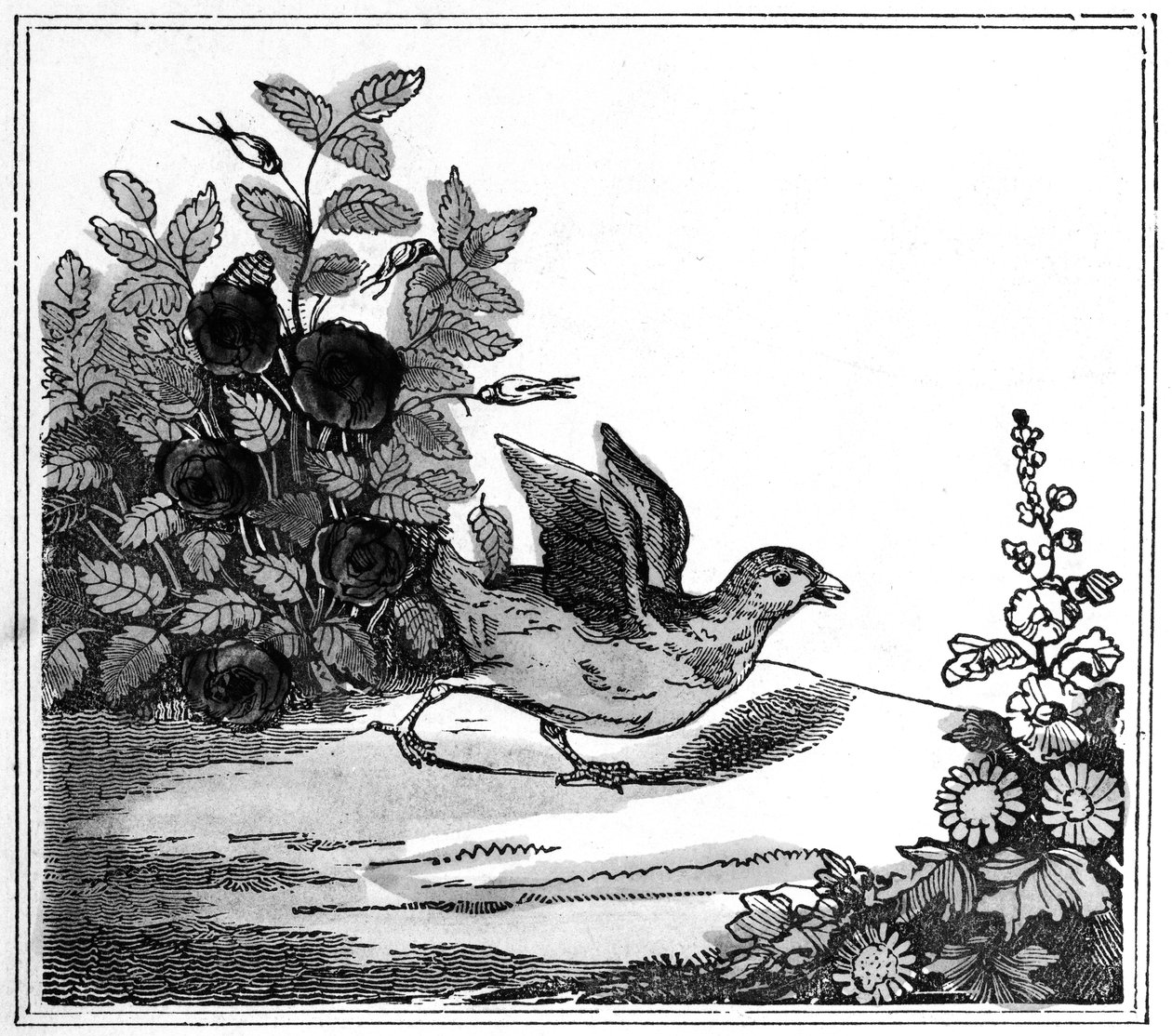Illustration aus der bemerkenswerten Geschichte von Chicken Little, 1840 von American School