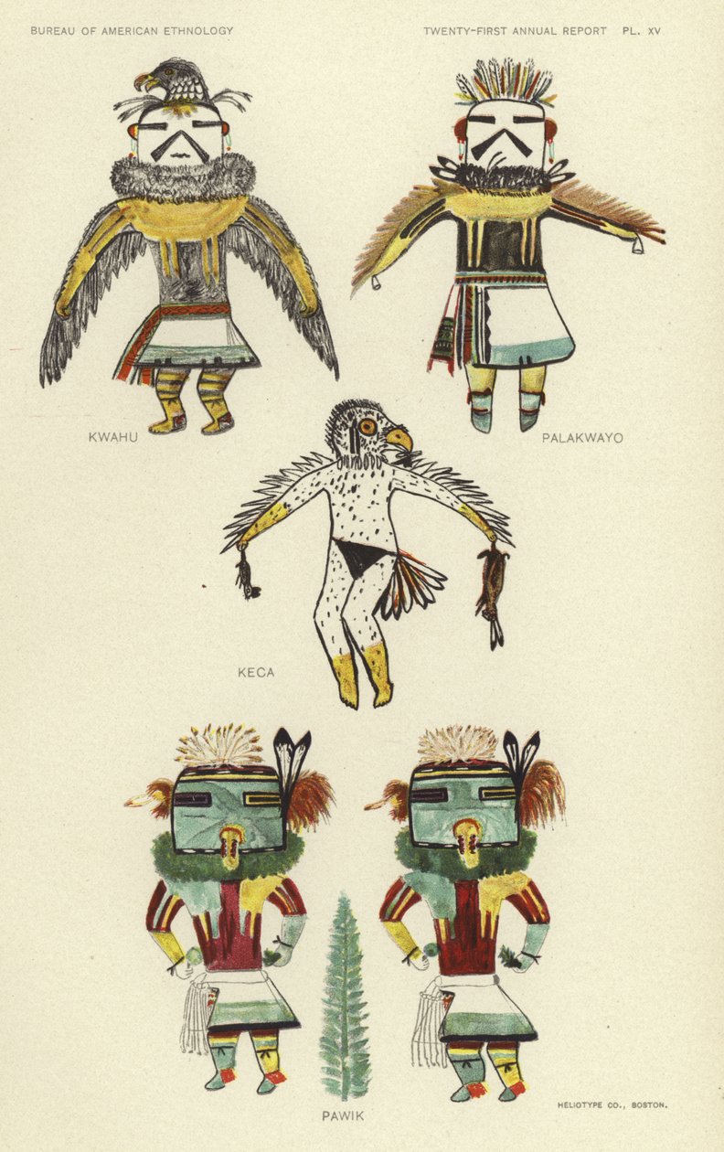Kwahu, Palakwayo, Keca, Pawik von American School