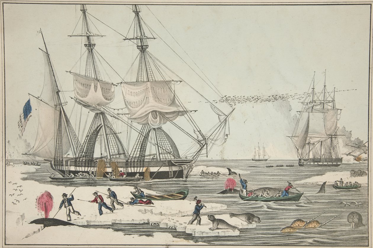 Nordsee-Walfang, veröffentlicht 1860 (Farblithografie) von American School