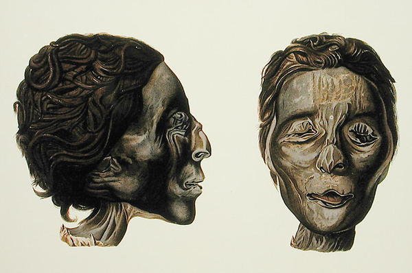 Profil und Gesicht einer weiblichen Mumie aus Gizeh, Band II, Tafel XXVII aus 