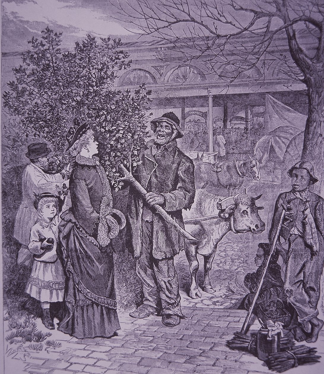 Weihnachtsbäume verkaufen in Richmond, Virginia von American School