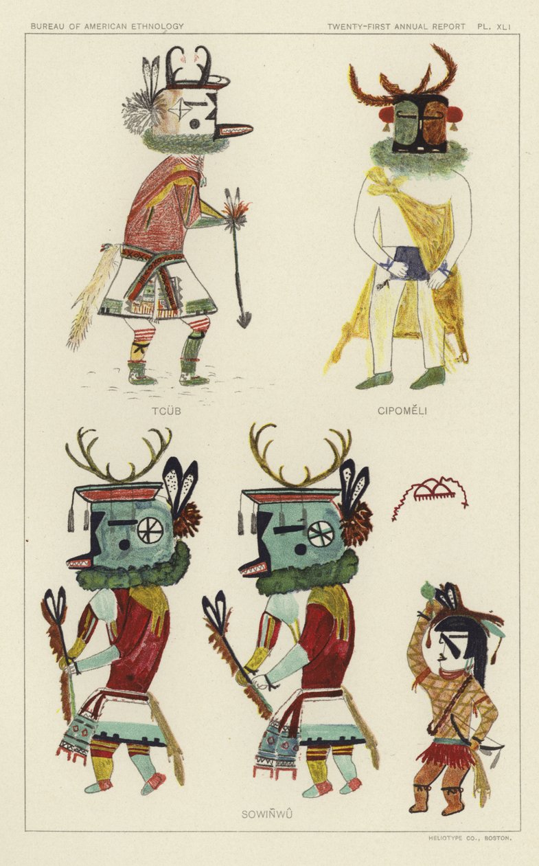 Tcub, Cipomeli, Sowinwu von American School