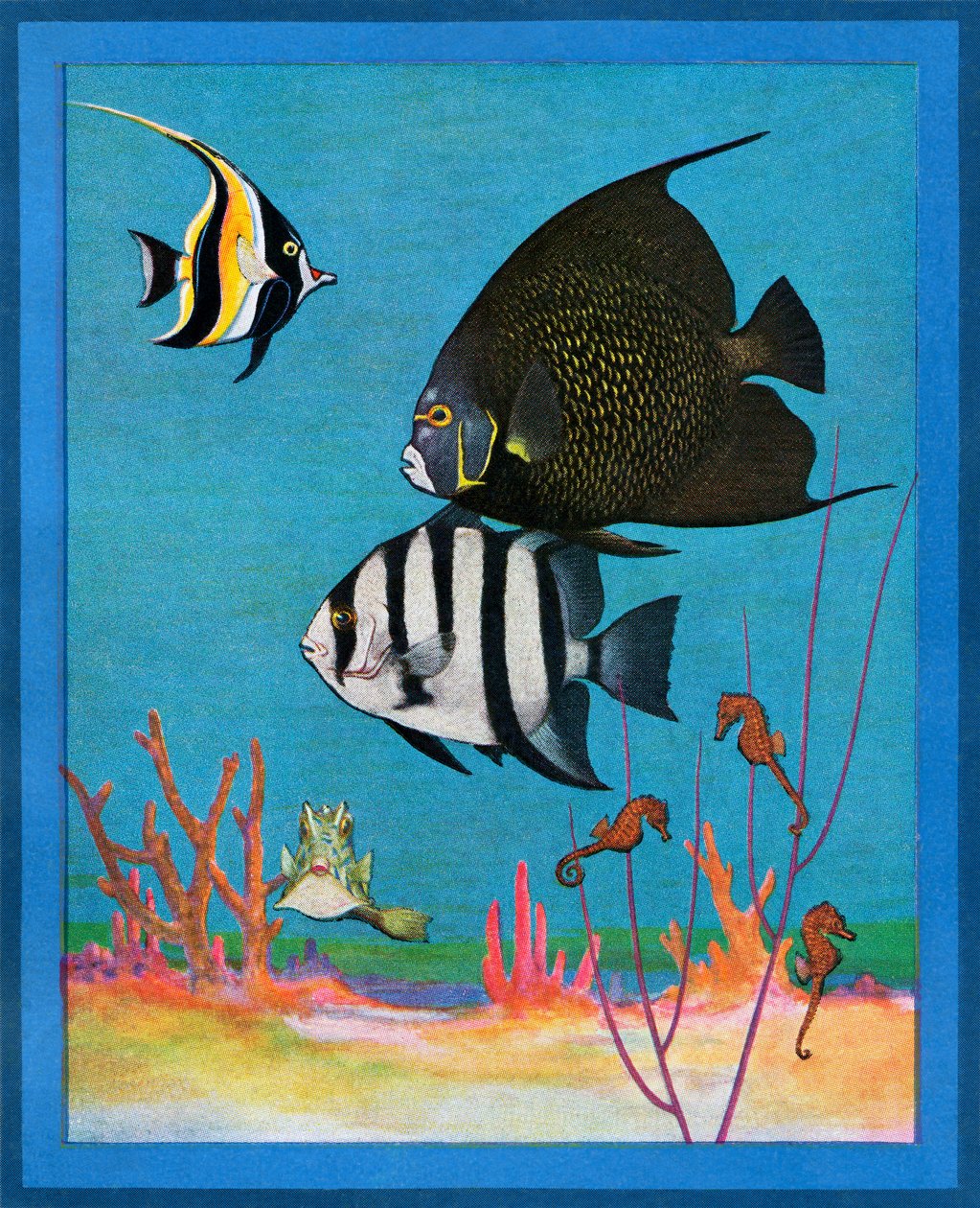 Vintage-Druck eines Salzwasseraquariums mit tropischen Fischen von American School