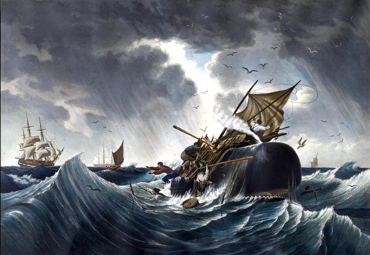 Wal zerstört Walfangschiff, ca.1875 von American School