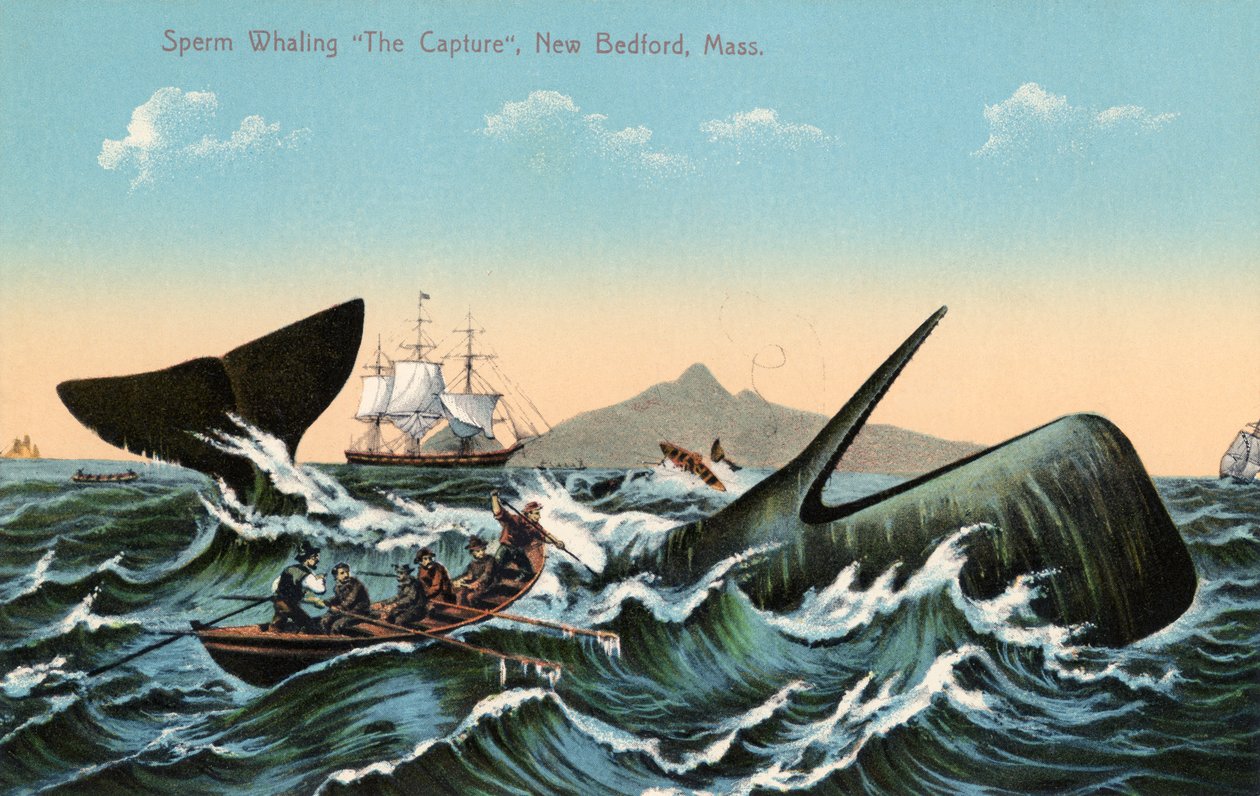 Walfänger, die einen Pottwal vor New Bedford, Massachusetts, harpunieren von American School