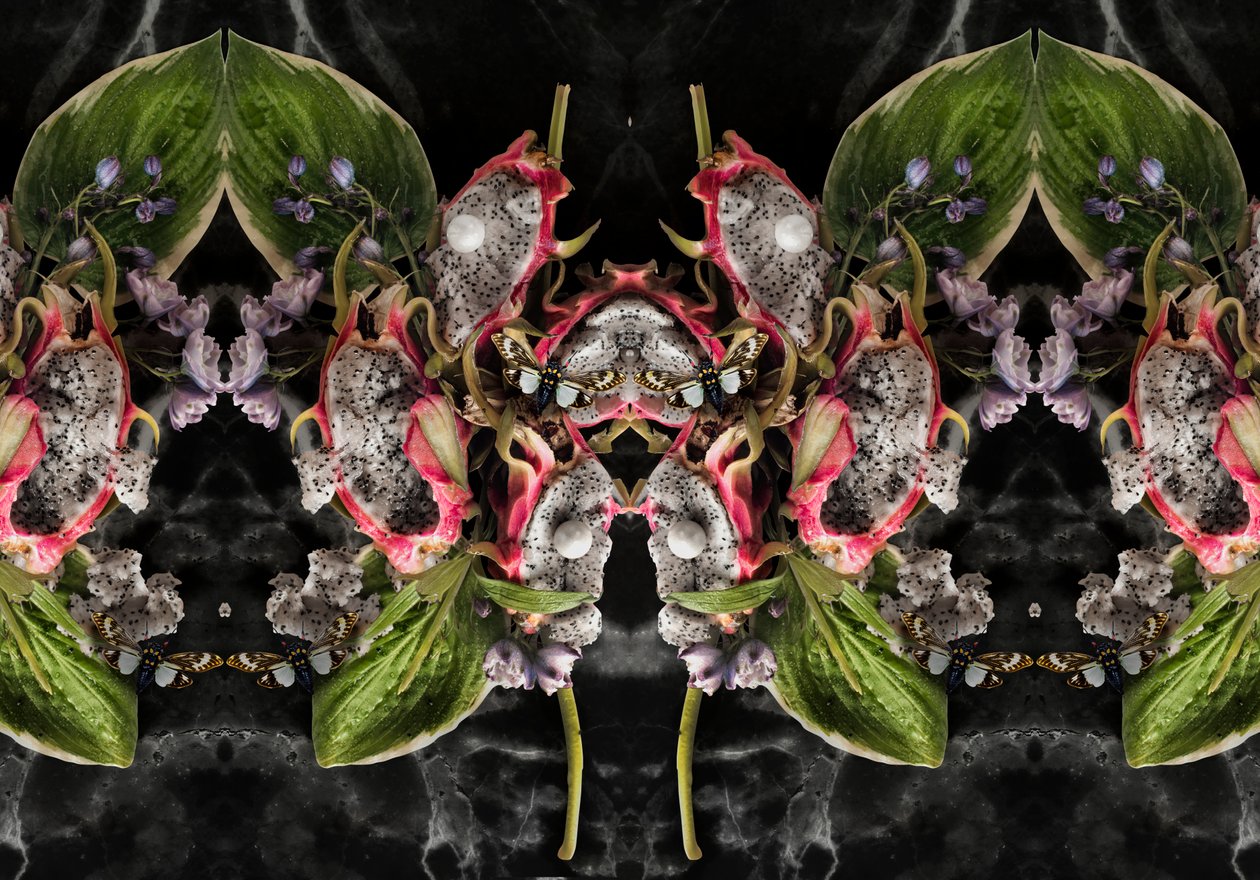 Eve_01, 2016 von Ana Carolina Tavares Mizrahi