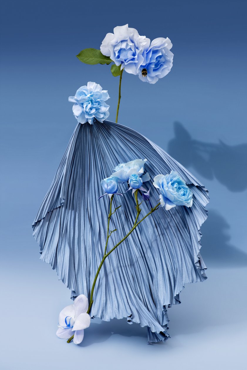 Ikebana 03, 2018 von Ana Carolina Tavares Mizrahi