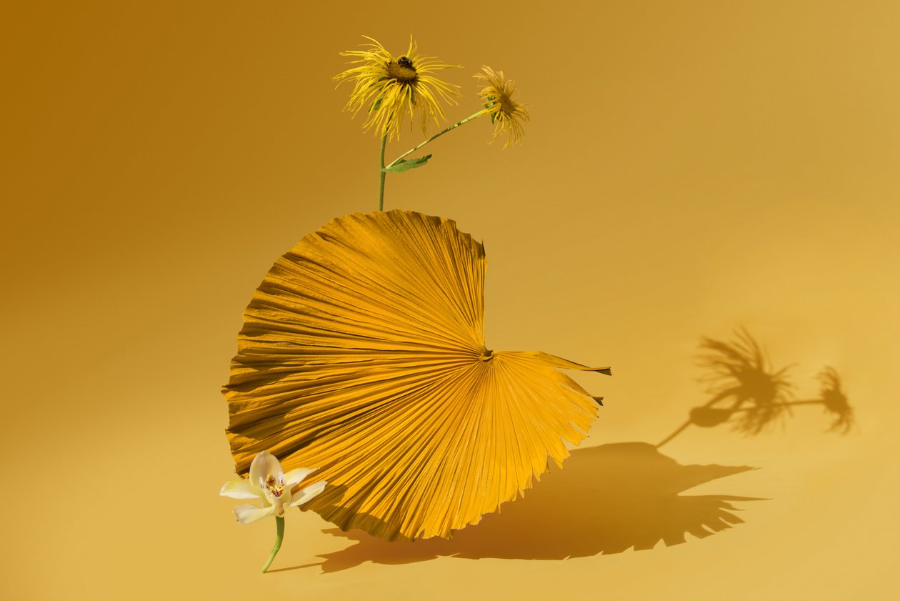 Ikebana 05, 2018 von Ana Carolina Tavares Mizrahi
