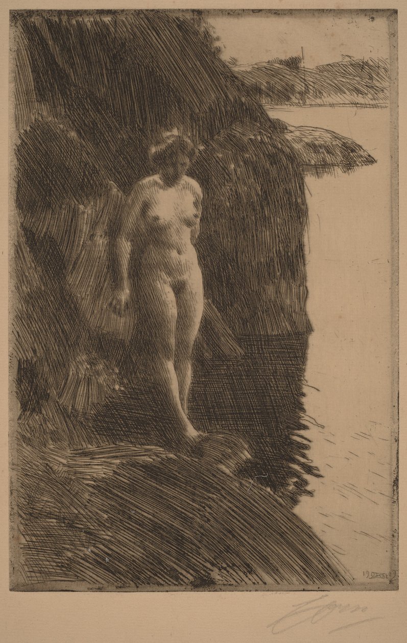 Abgrund von Anders Zorn