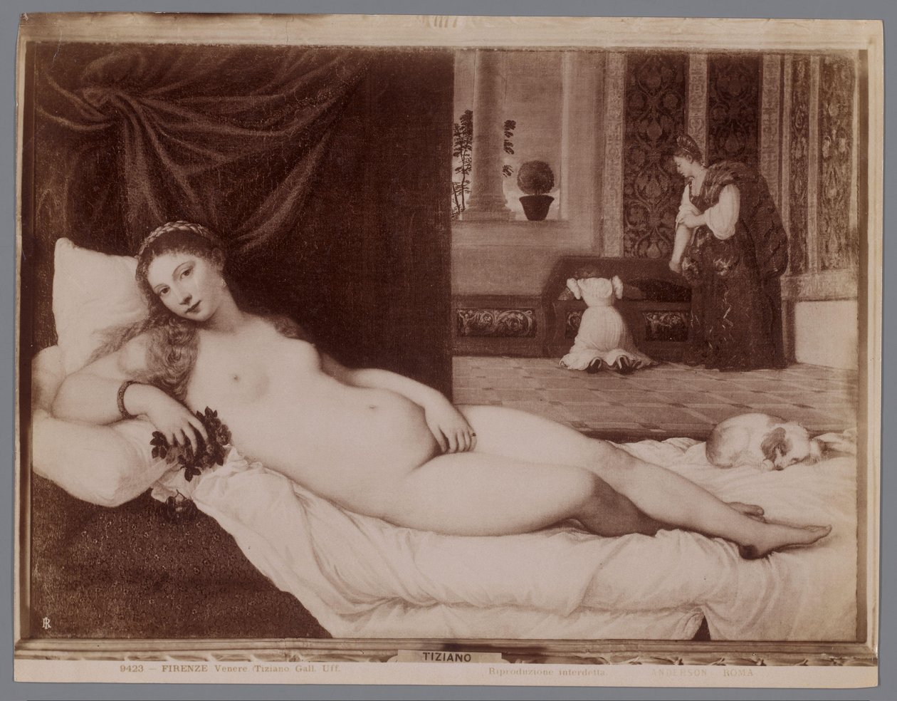 Fotoreproduktion des Gemäldes Venus von Urbino von Tizian von Anderson (firma)