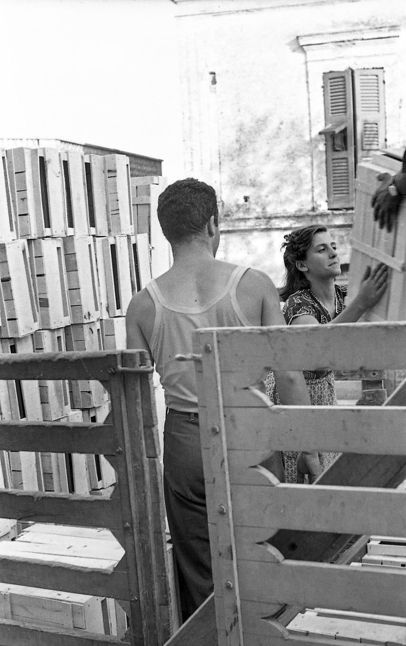 Bittere Trauben - Ein LKW voller Kisten zum Befüllen von Ando Gilardi