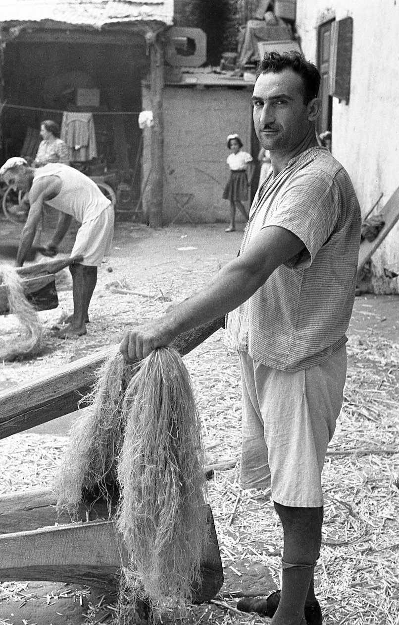 Hanfverarbeitung von Ando Gilardi
