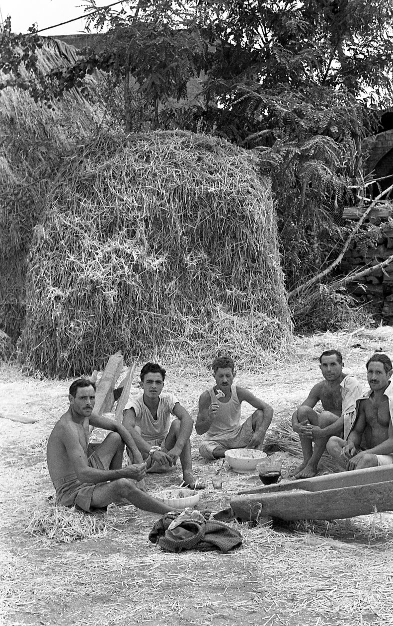 Hanfverarbeitung, kurze Erholung von Ando Gilardi