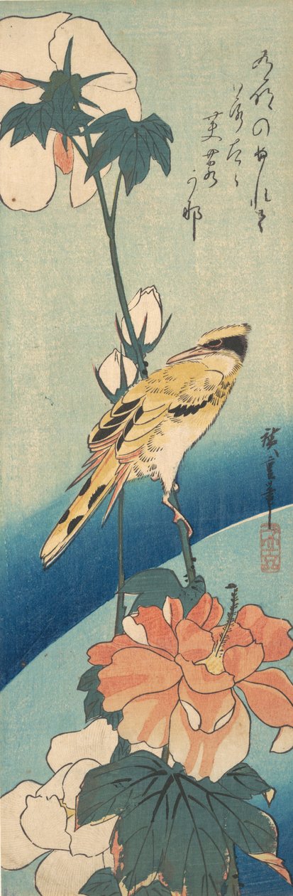 Ein Schwarznackenpirol auf einem Hibiskusstängel, ca. 1834 von Ando Hiroshige