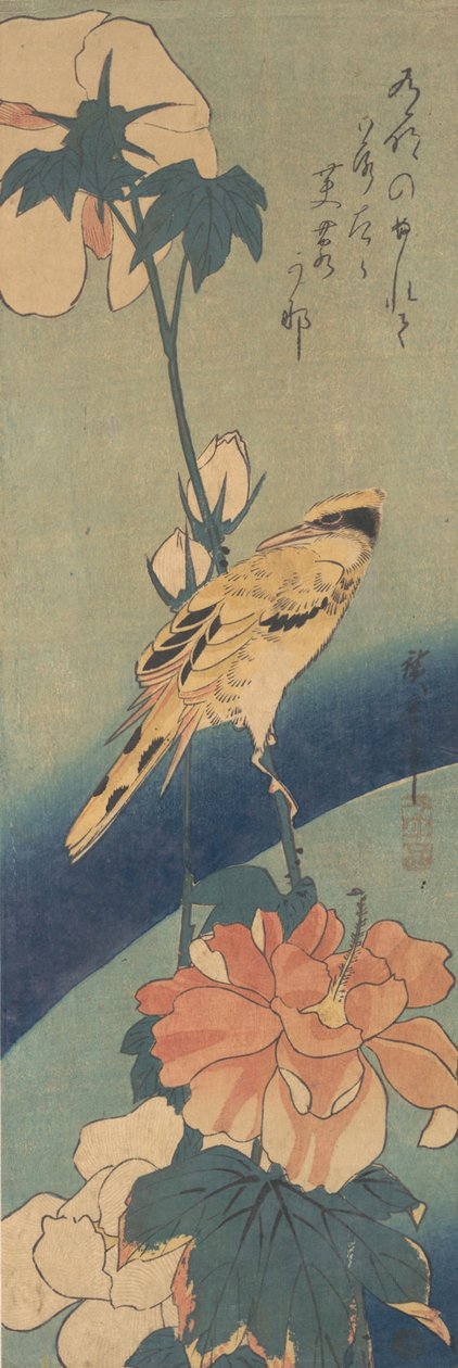Schwarzgenickter Pirol auf einem Stängel von Hibiskus, ca. 1834 von Ando Hiroshige
