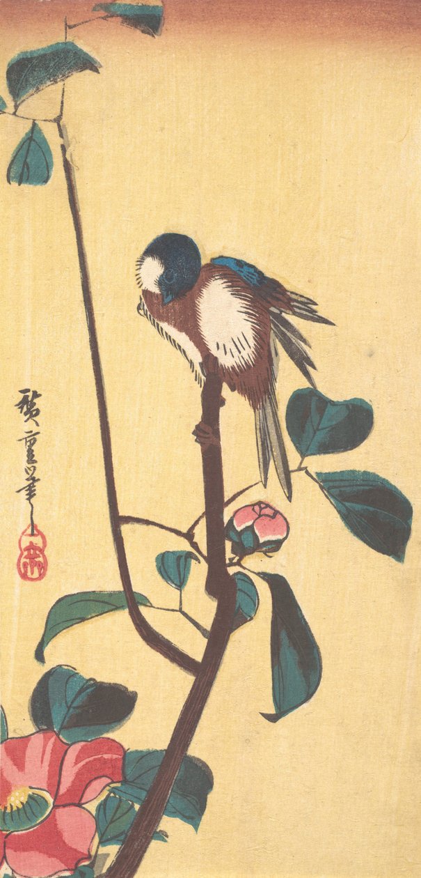 Kamelie und Blaukopf-Vogel von Ando Hiroshige
