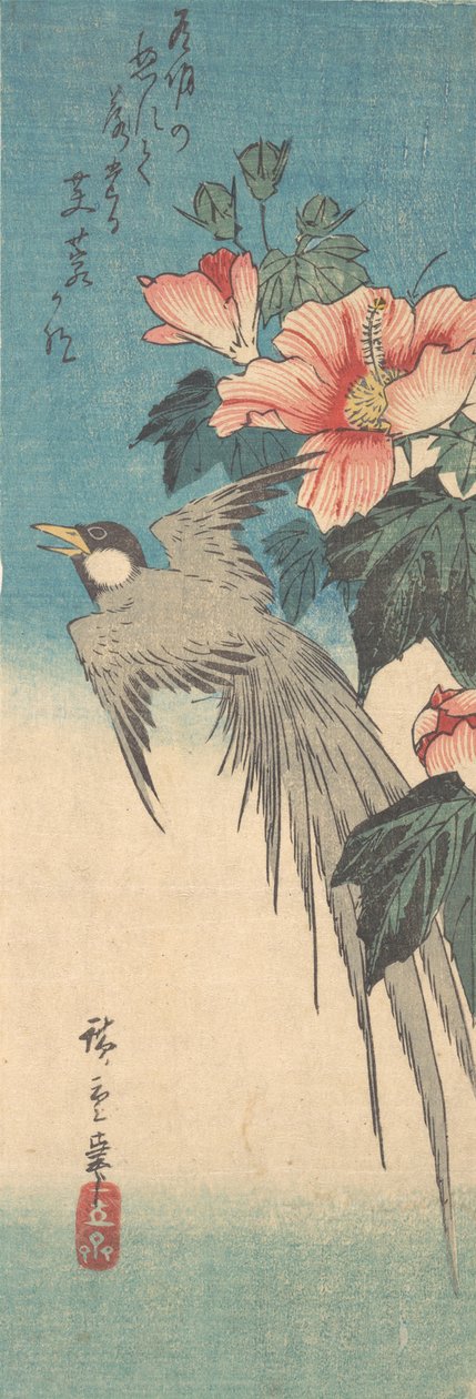 Hibiscus Mutabilis und Langschwanzvogel, ca. 1842 von Ando Hiroshige