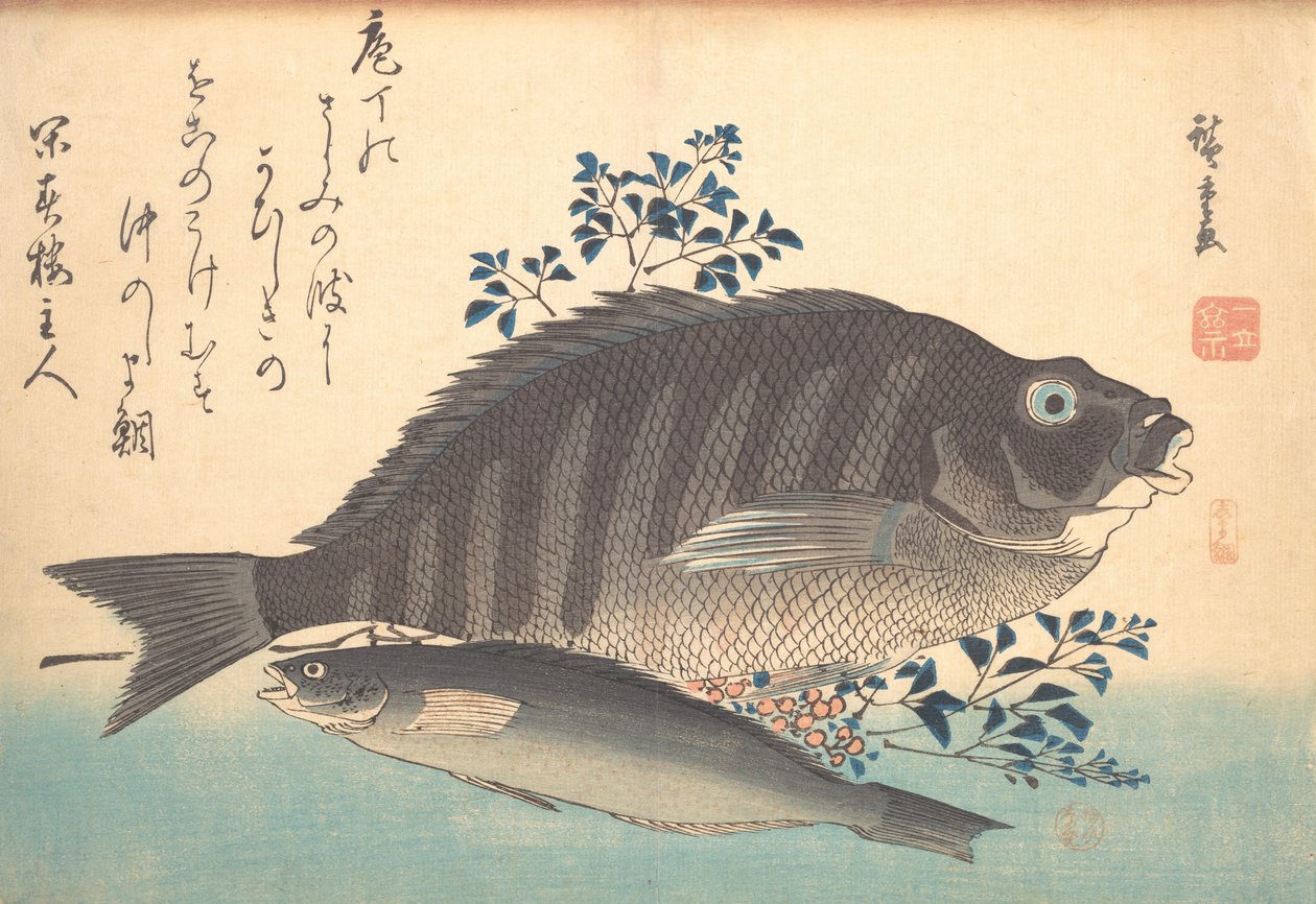 Shimadai und Ainame Fisch, aus der Serie Uozukushi Jede Fischart, 1840er von Ando Hiroshige