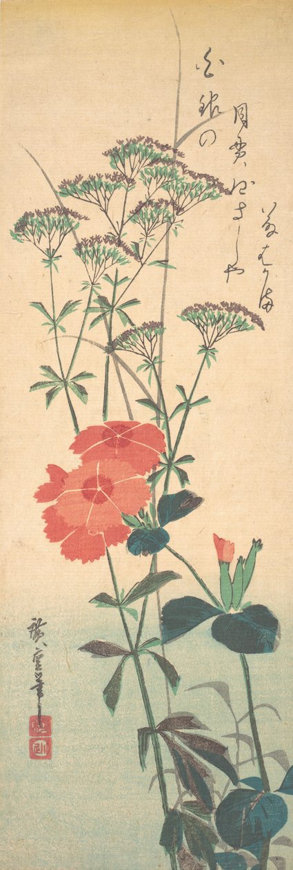 Prächtige Nelken und chinesische Agrimonie, ca. 1836 von Ando Hiroshige