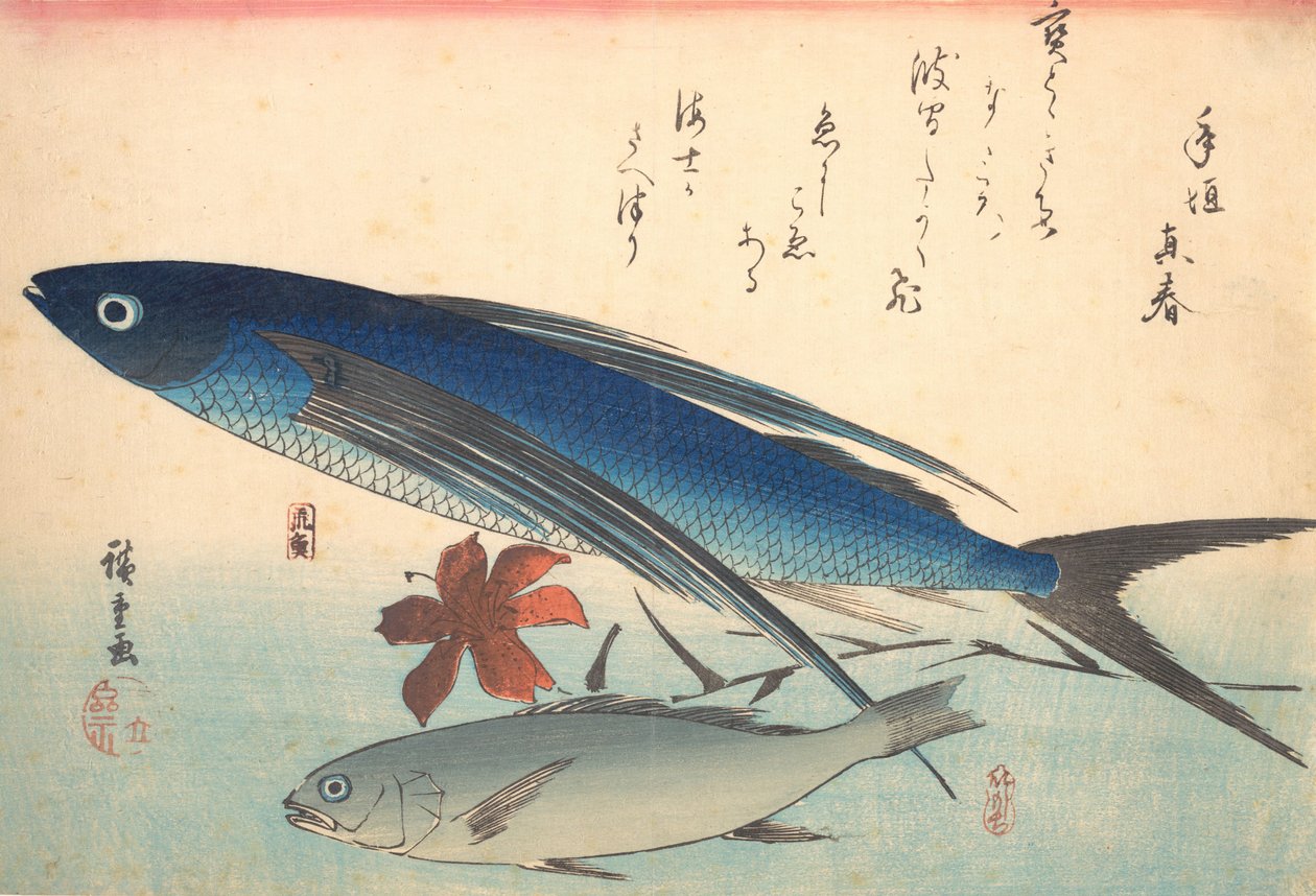 Tobiuo und Ishimochi-Fisch, aus der Serie Uozukushi Jede Fischart von Ando Hiroshige