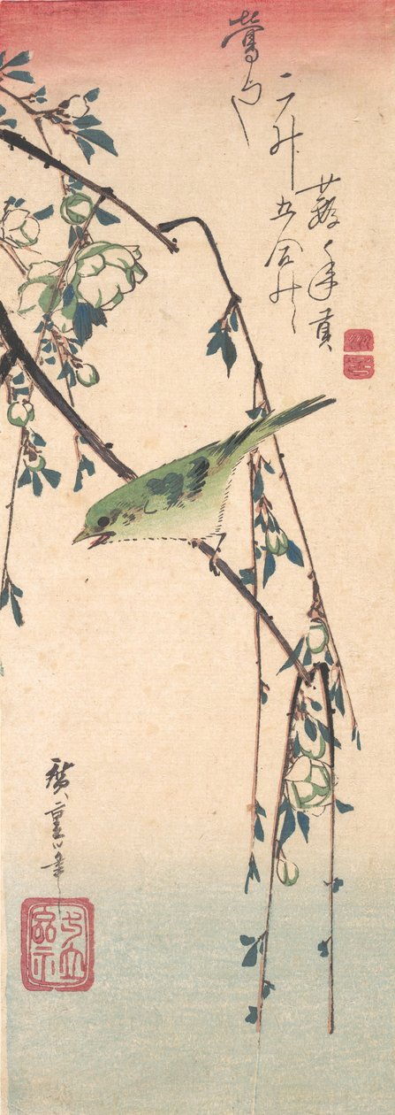 Grasmücke auf einem Pflaumenzweig, ca. 1835 von Ando Hiroshige