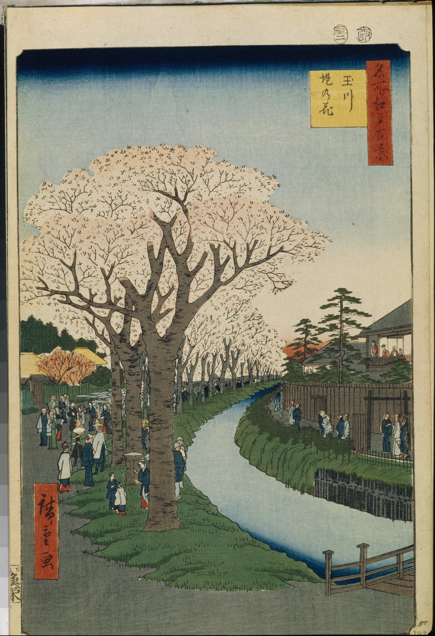 Hundert berühmte Ansichten von Edo: Kirschblüten am Ufer des Tama-Flusses von Ando or Utagawa Hiroshige