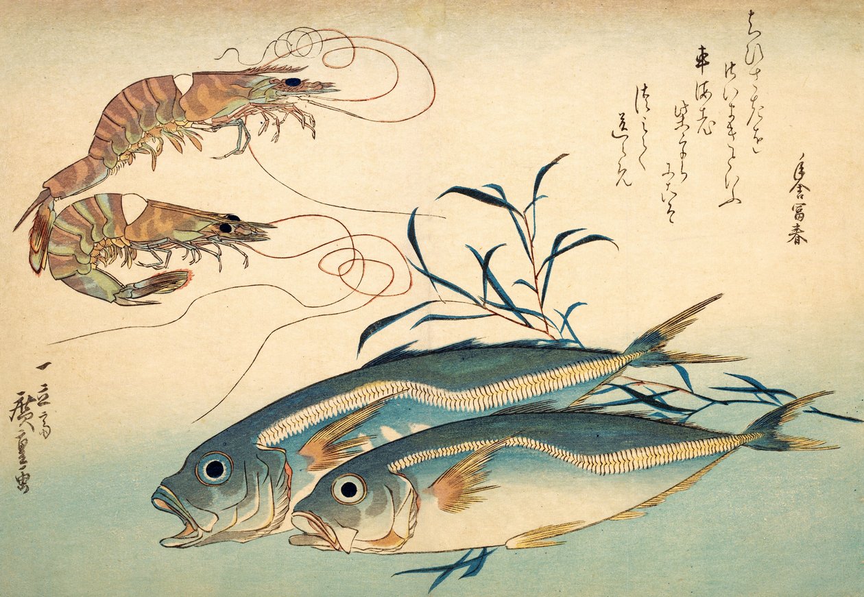 Japanische Pferdemakrele und japanische Tiger-Garnele von Ando or Utagawa Hiroshige