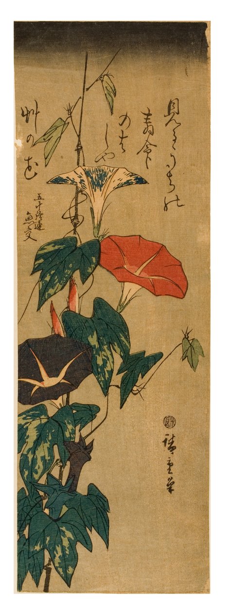 Morgenruhm, ca. 1843-47 (Holzschnitt auf Papier) von Ando or Utagawa Hiroshige