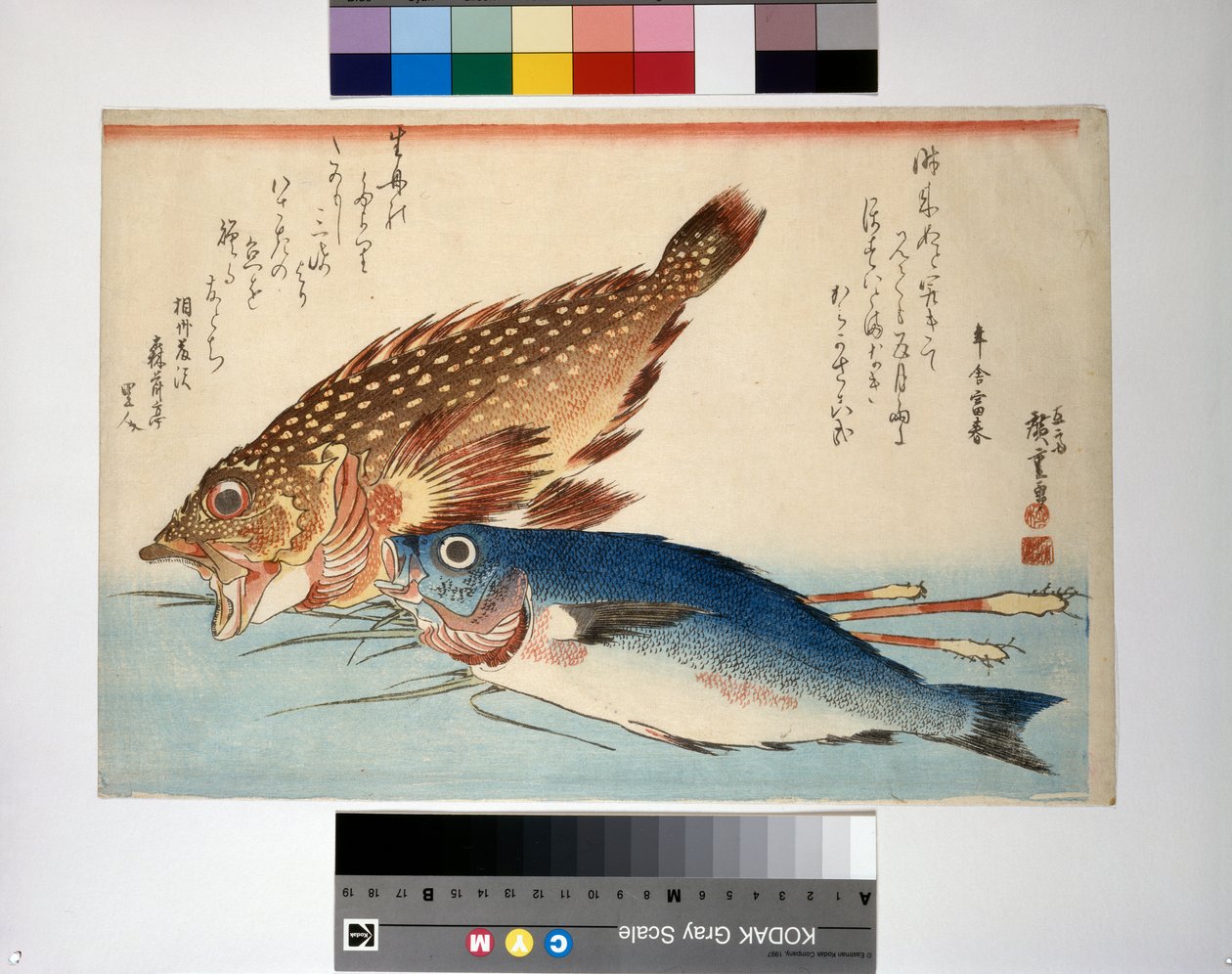 Skorpionfisch und Isaki-Fisch mit Ingwerwurzel von Ando or Utagawa Hiroshige