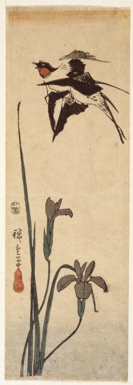 Schwalben und Iris von Ando or Utagawa Hiroshige