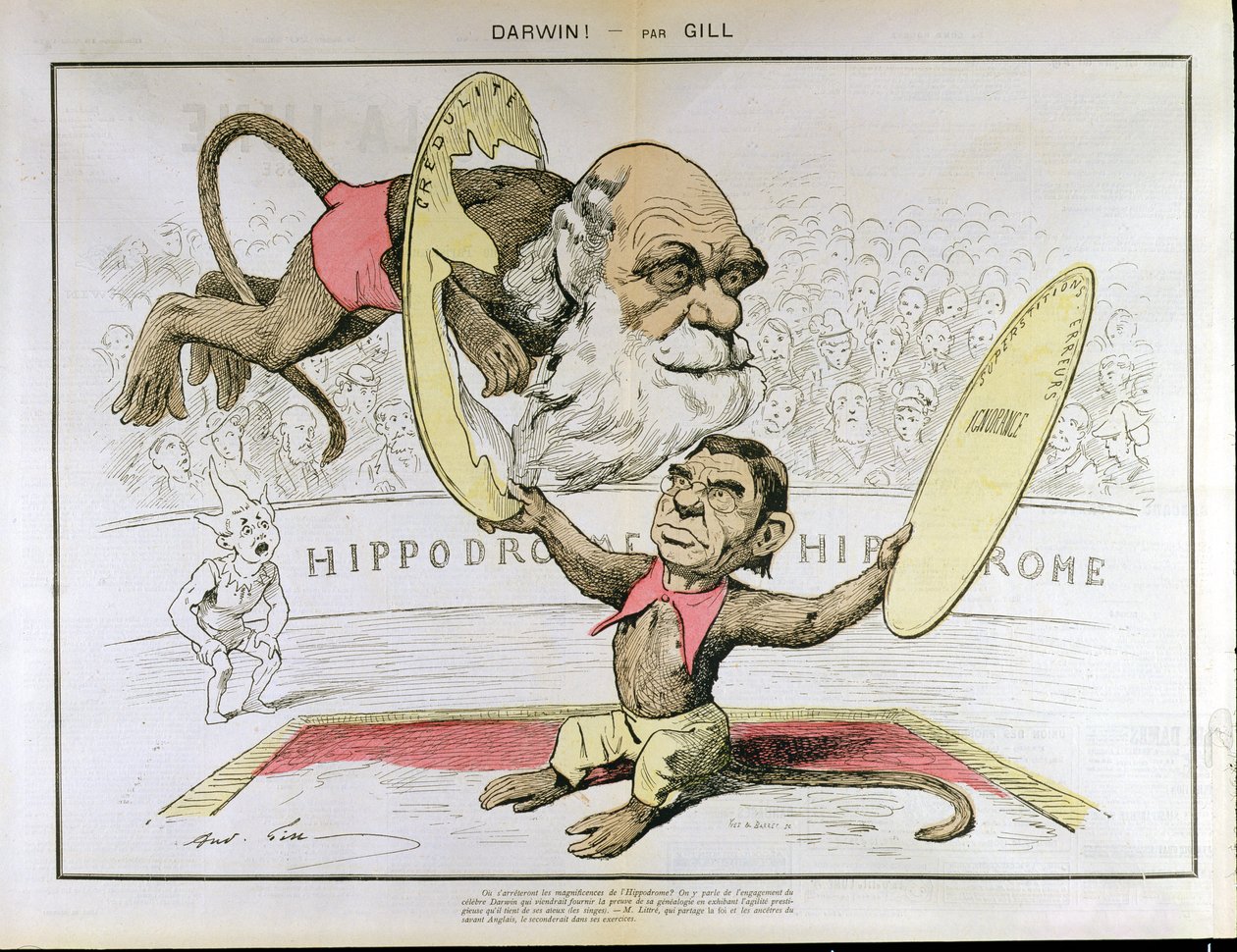 Karikatur von Charles Darwin und Emile Littre, die sie als Affen im Zirkus darstellen von Andre Gill