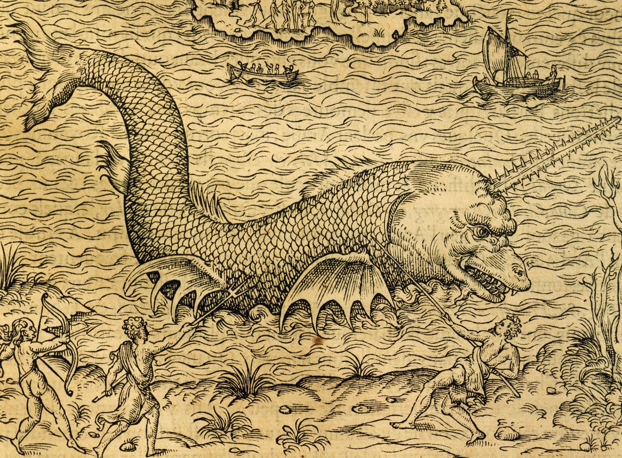 Seemonster, Gravur aus der Universal Cosmology, von Andre Thevet, Paris von Andre Thevet