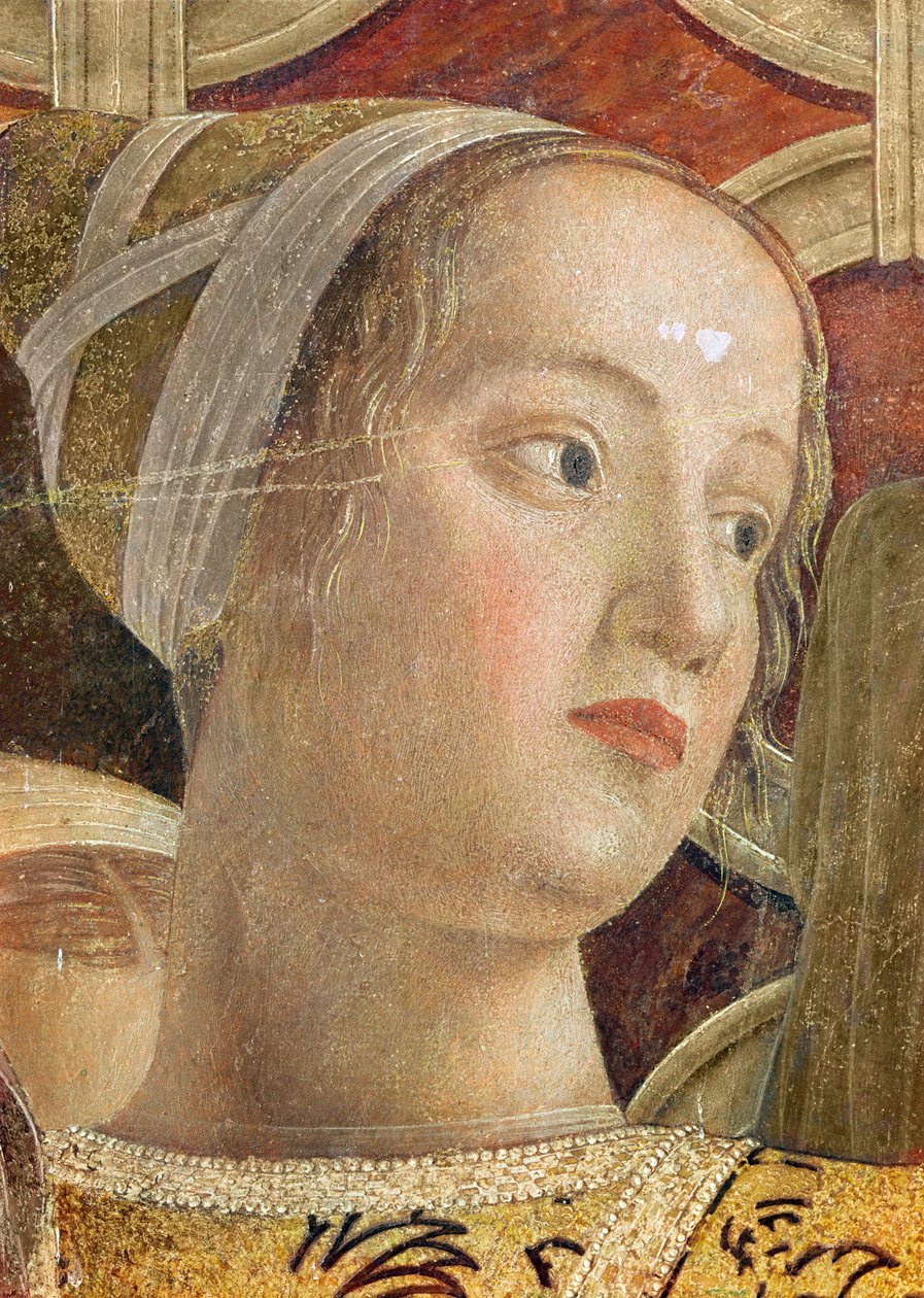 Kopf einer Frau, Detail des Marquis Ludovico III Gonzaga und seines Hofes in der Camera degli Sposi (Detail) von Andrea Mantegna