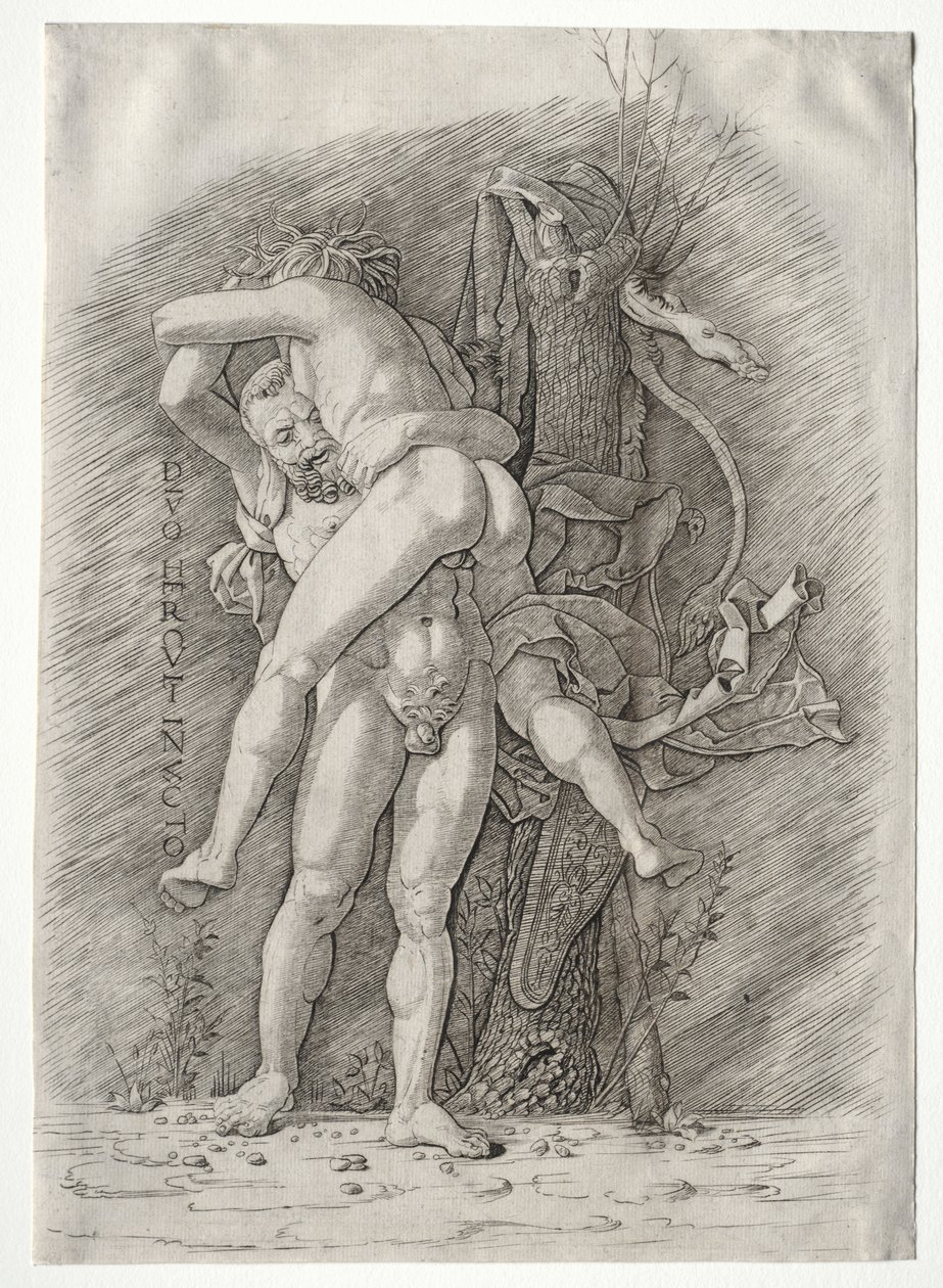 Herkules und Antäus, 1400er Jahre von Andrea Mantegna