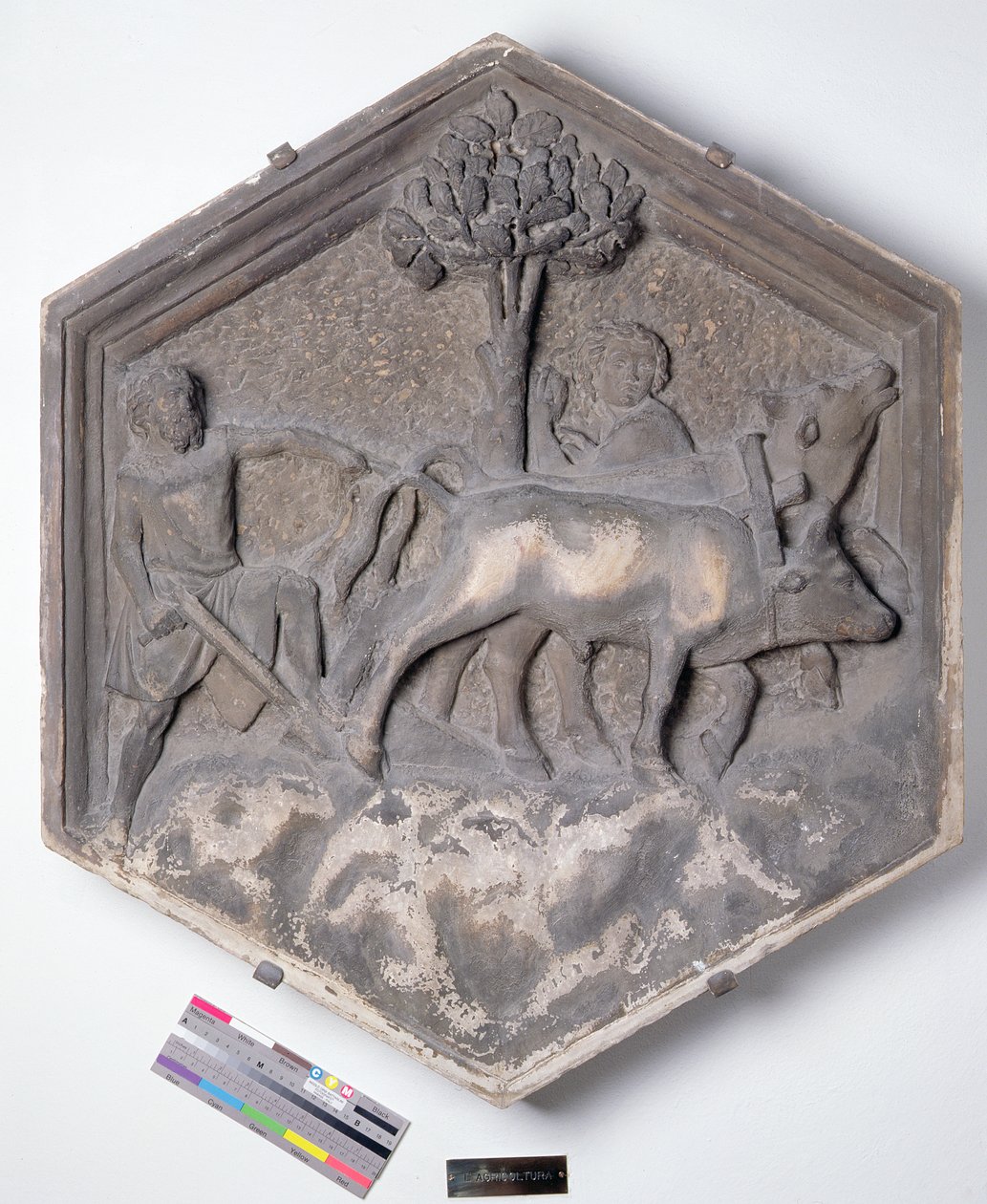 Die Kunst der Landwirtschaft, sechseckige dekorative Reliefkachel aus einer Serie, die die Praktiker der Künste und Wissenschaften darstellt, möglicherweise basierend auf Entwürfen von Giotto (ca. 1266-1337) ca. 1334-1348 von Andrea Pisano