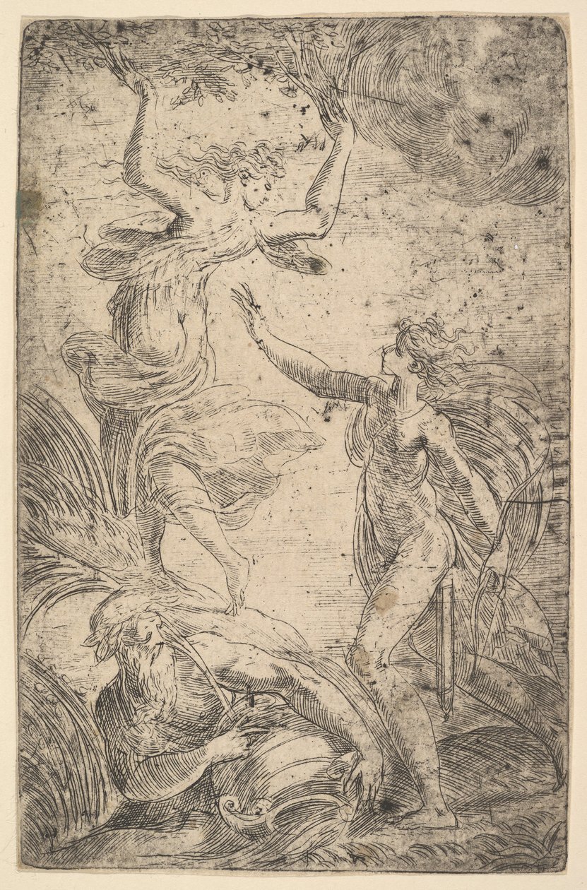 Apollo rechts mit Bogen jagt Daphne links, ca. 1538-40 von Andrea Schiavone