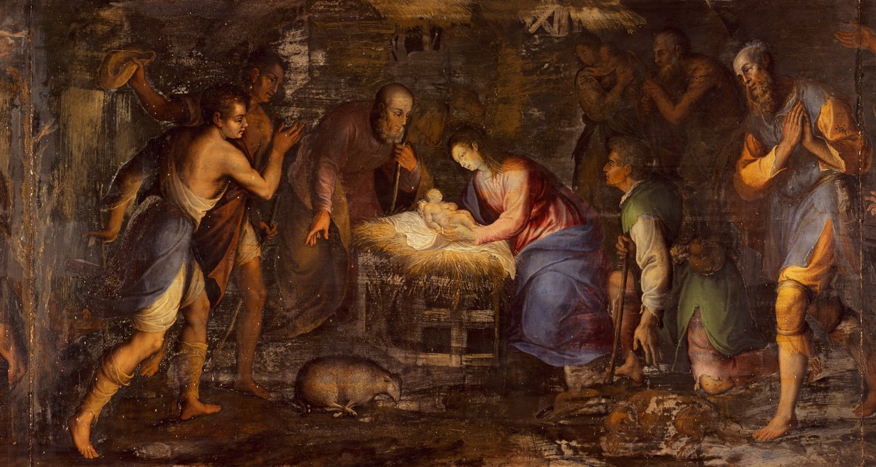 Geburt Christi von Andrea Solario