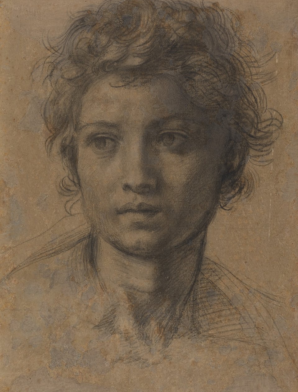 Kopf von Johannes dem Täufer von Andrea del Sarto
