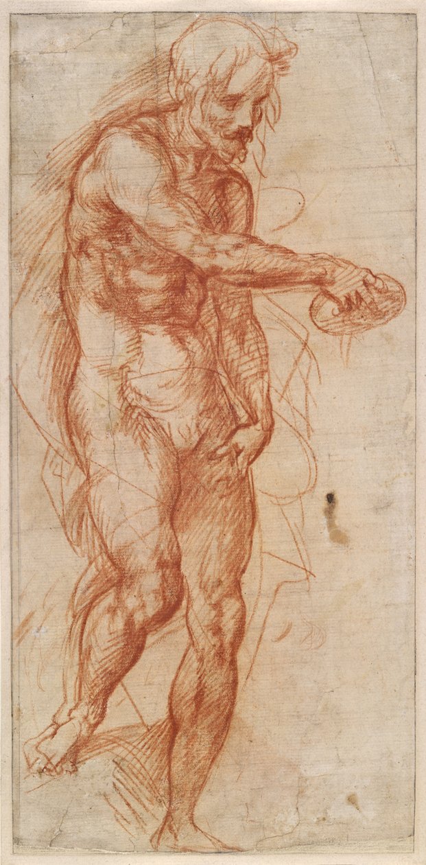 Studie für Johannes den Täufer von Andrea del Sarto