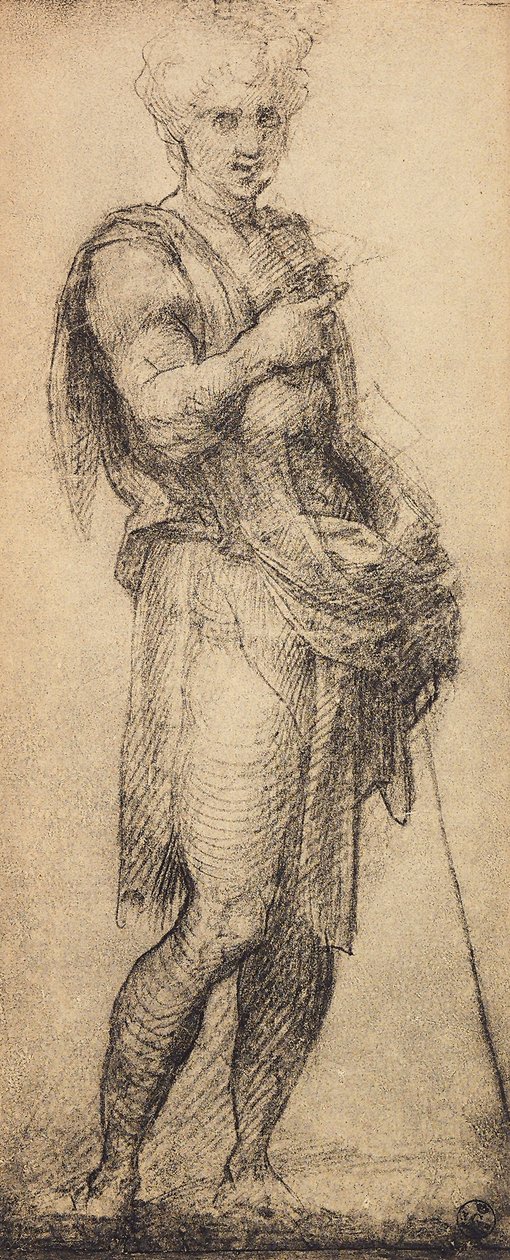 Studie einer männlichen Figur von Andrea del Sarto