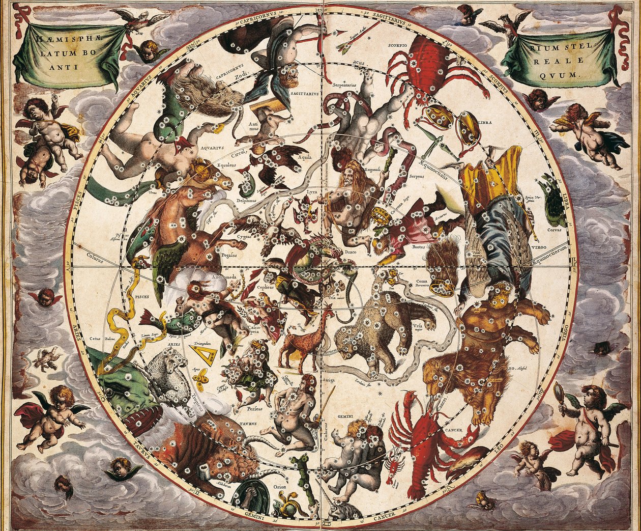 Atlas Coelestis seu Harmonia Macrocosmica. 1661. Fol 24. Hemisphaerium stellatum boreale antiquum. Darstellung der nördlichen Hemisphäre. Gedruckt in Amsterdam von Johannes Janssonius. Frühe Neuzeit. Gravur. von Andreas Cellarius